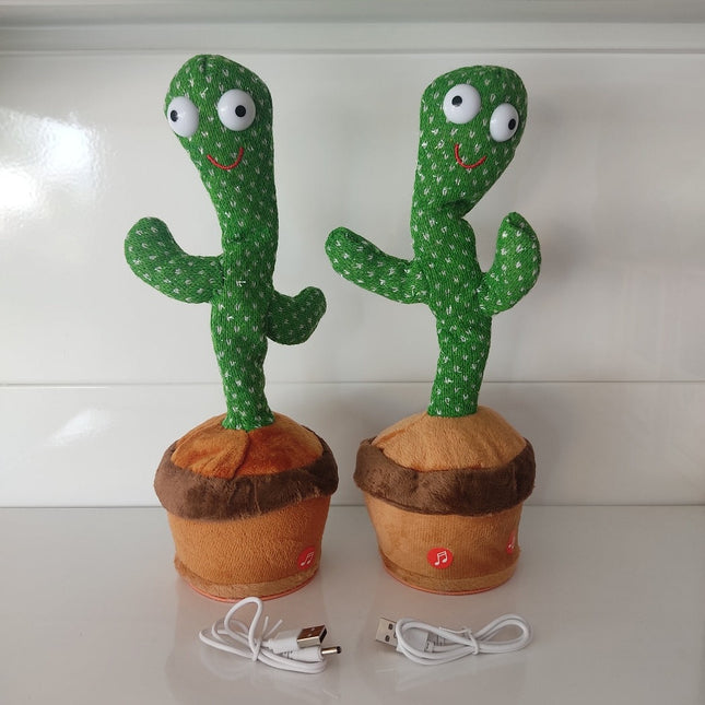 Dancing Cactus