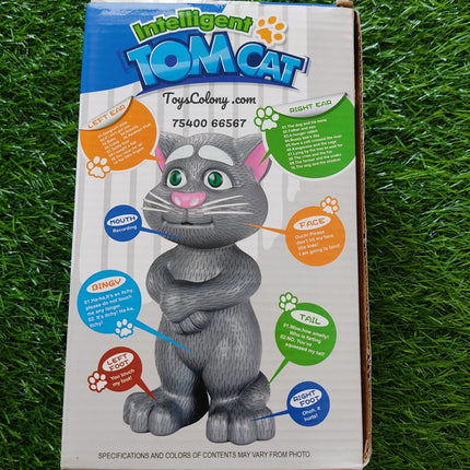 Talking Tom