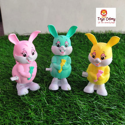 Key Toy Rabbit (Pack of 1 Rabbit Toy)